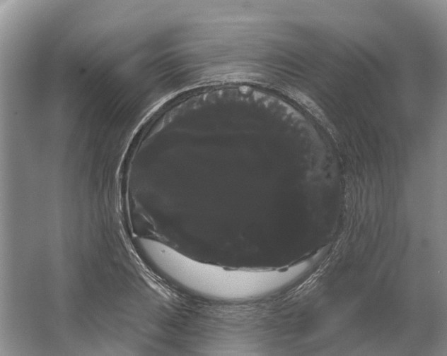 X0000066121031200603241605