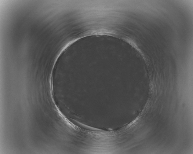 X0000066121032200603241605