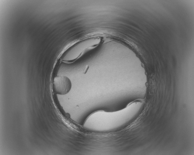 X0000066121034200603241605