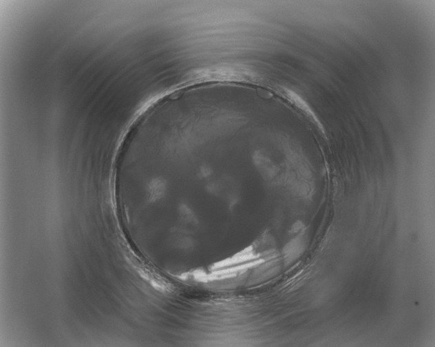 X0000066121035200603241605