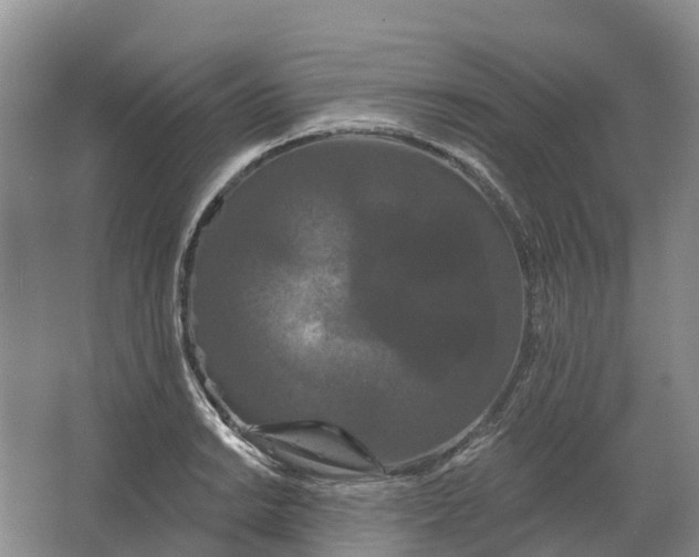 X0000066121038200603241605