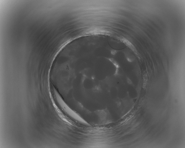 X0000066121039200603241605