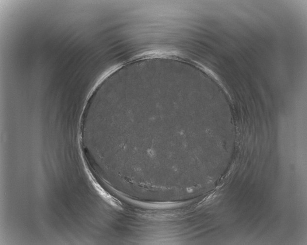 X0000066121042200603241605