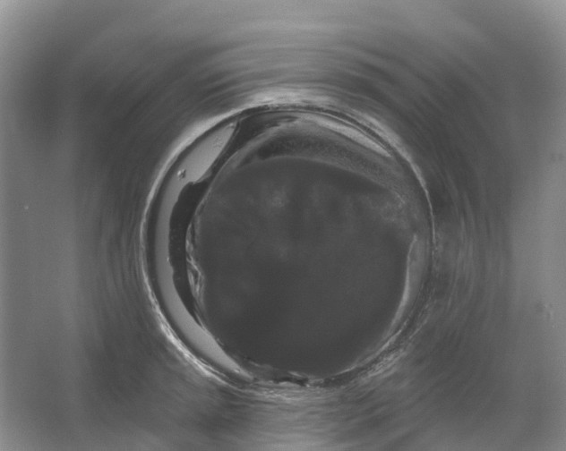 X0000066121045200603241605