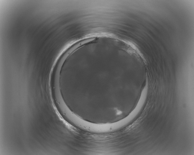 X0000066121046200603241605