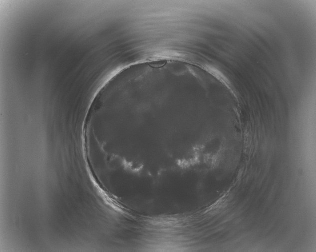 X0000066121047200603241605