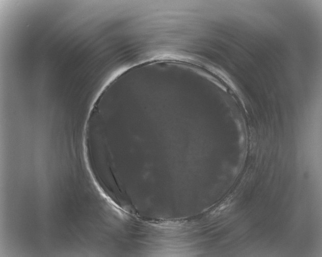 X0000066121048200603241605