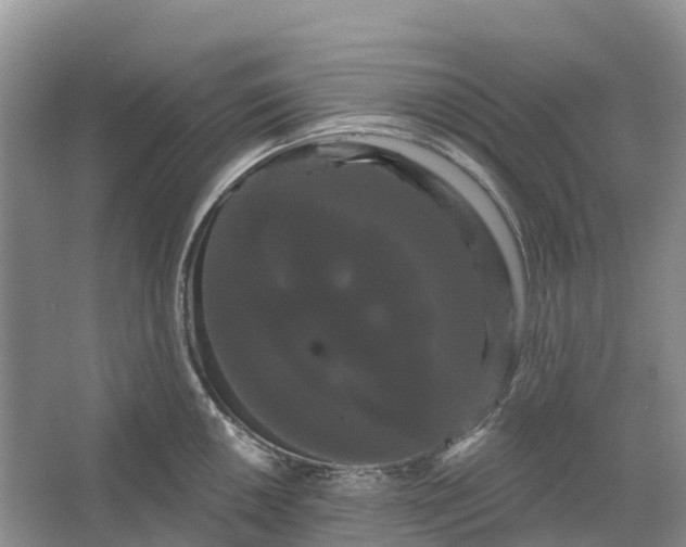 X0000066121050200603241605