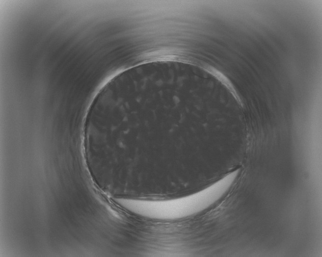 X0000066121051200603241605