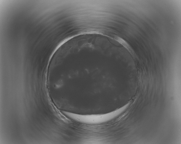 X0000066121052200603241605