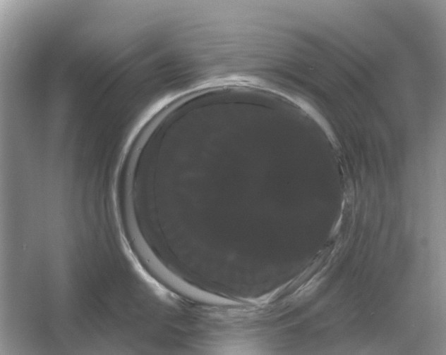 X0000066121054200603241605