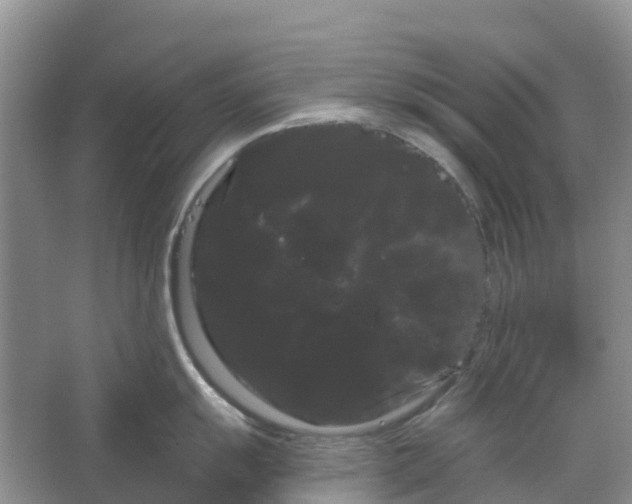 X0000066121055200603241605