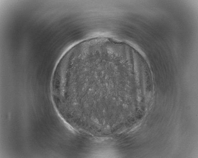 X0000066121056200603241605