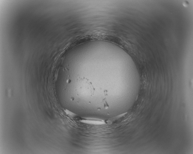 X0000066121057200603241604