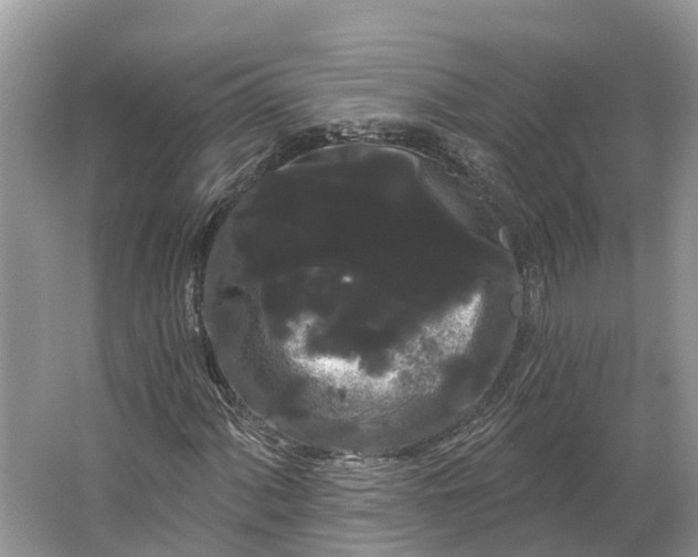 X0000066121060200603241604