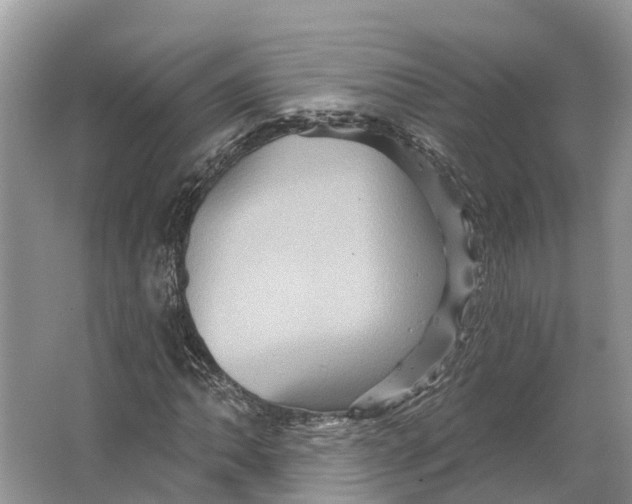 X0000066121062200603241604