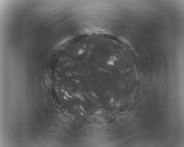 X0000066121063200603241604