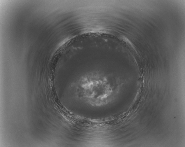 X0000066121064200603241604