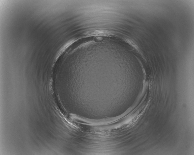 X0000066121066200603241604