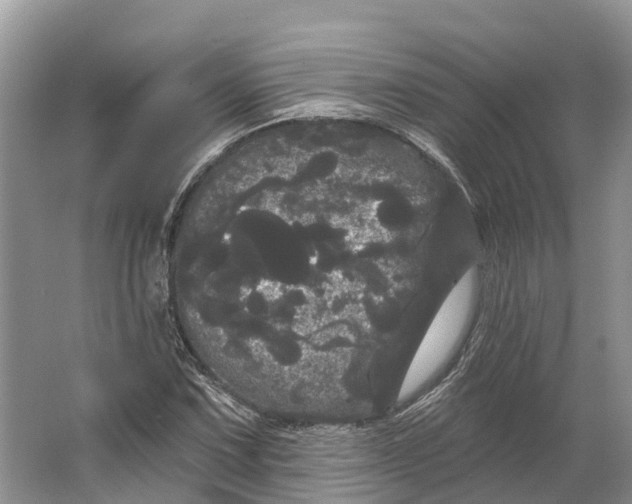 X0000066121067200603241604