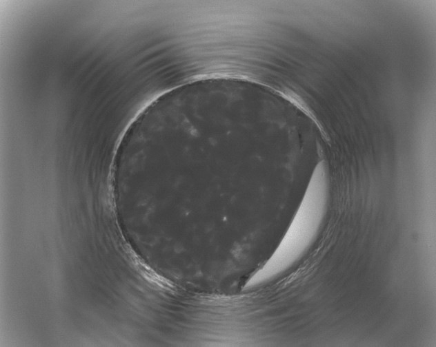 X0000066121068200603241604