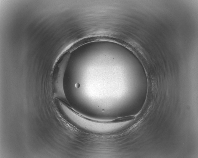 X0000066121069200603241604