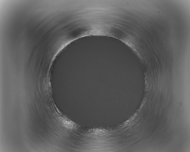 X0000066121070200603241604