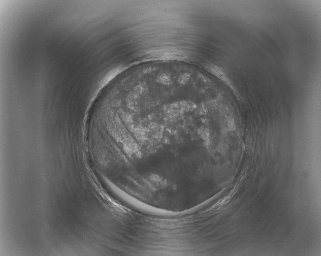 X0000066121071200603241604