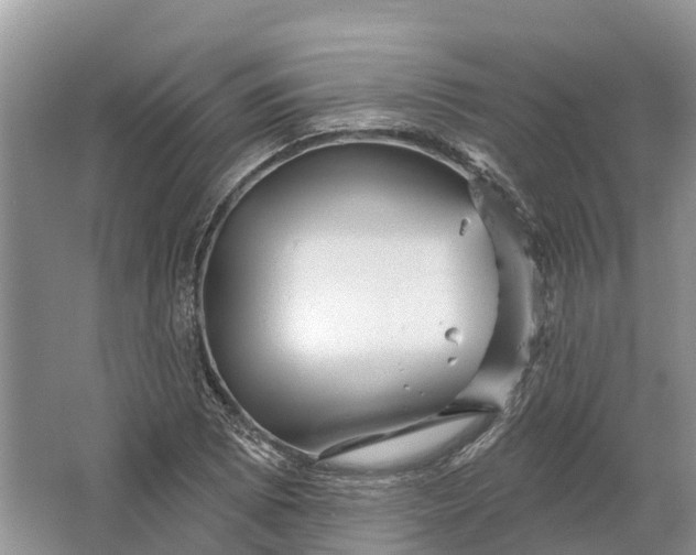 X0000066121073200603241604