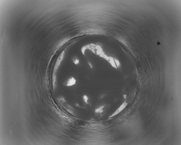 X0000066121074200603241604