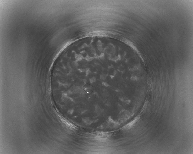 X0000066121075200603241604