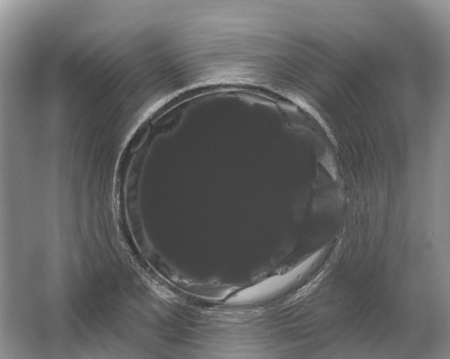 X0000066121077200603241604