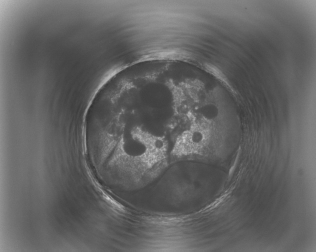 X0000066121079200603241604