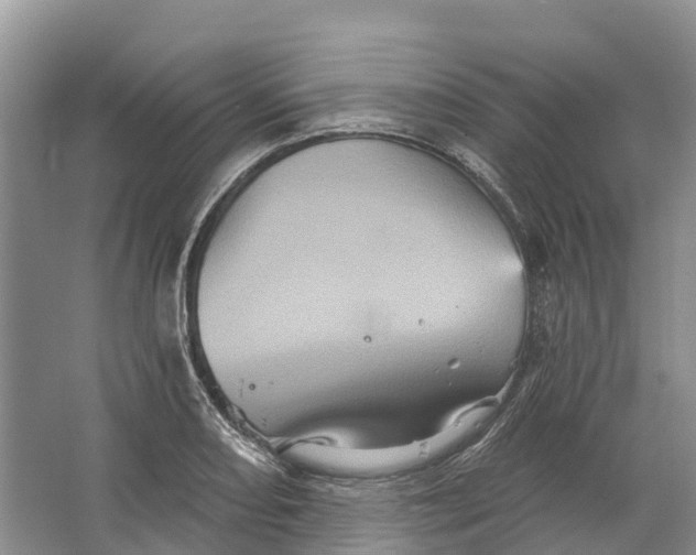 X0000066121082200603241604