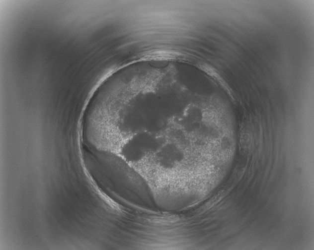 X0000066121083200603241604