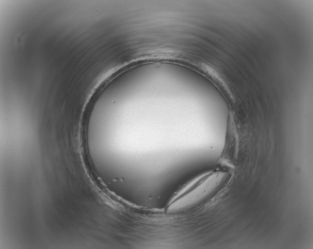 X0000066121085200603241604