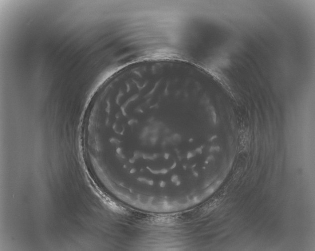 X0000066121086200603241604