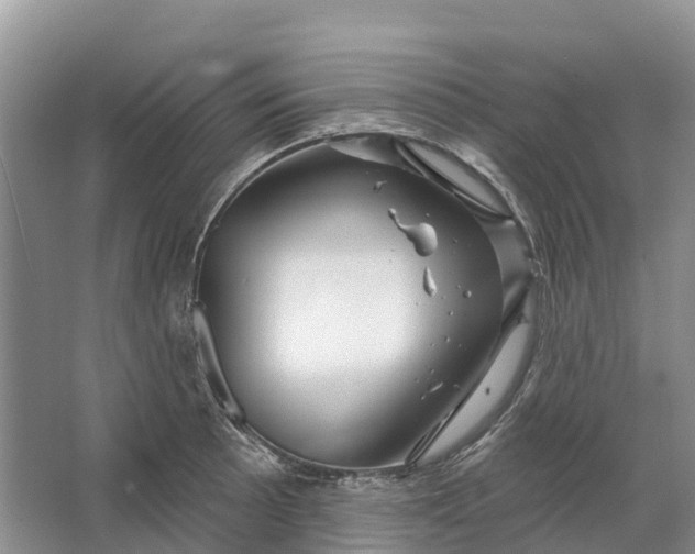 X0000066121089200603241604