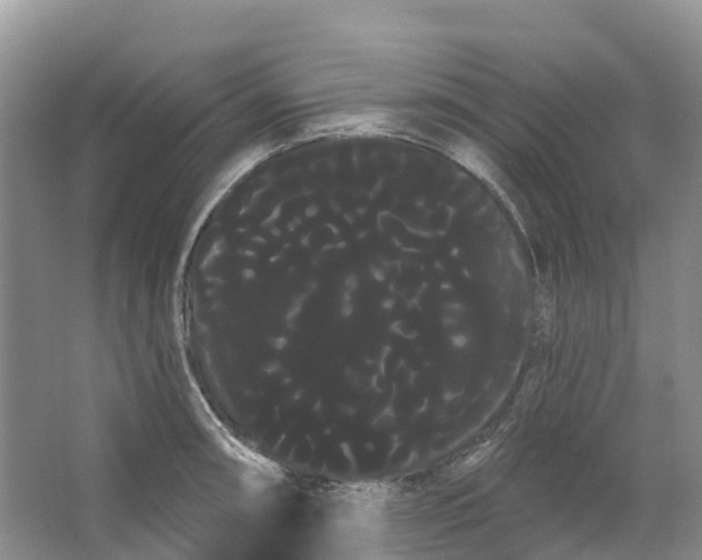 X0000066121090200603241604