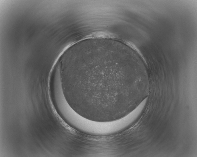 X0000066121091200603241604