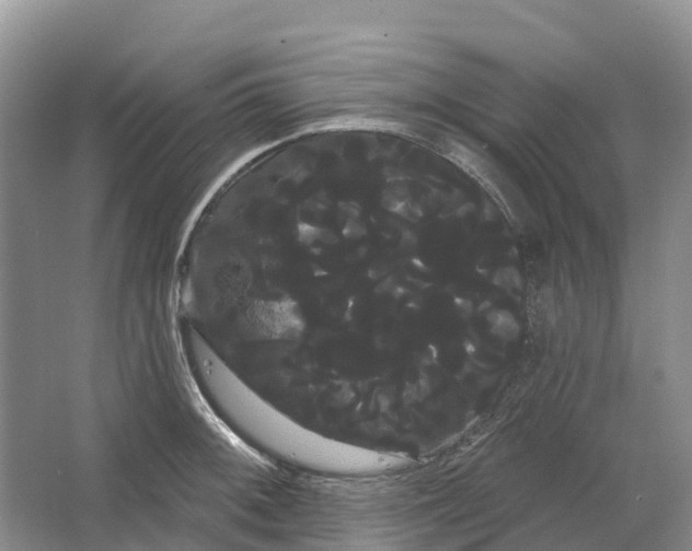 X0000066121092200603241604