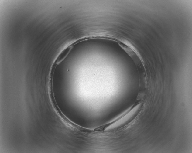 X0000066121093200603241604