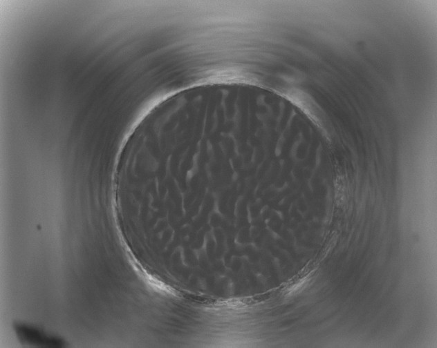 X0000066121094200603241604