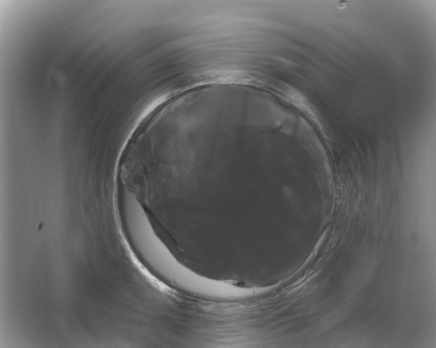 X0000066121095200603241604