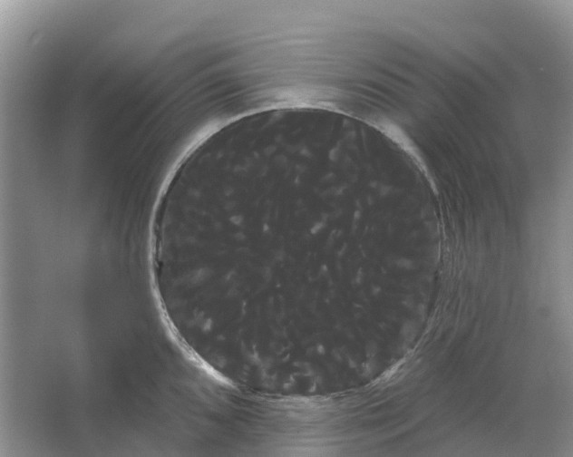 X0000066121096200603241604