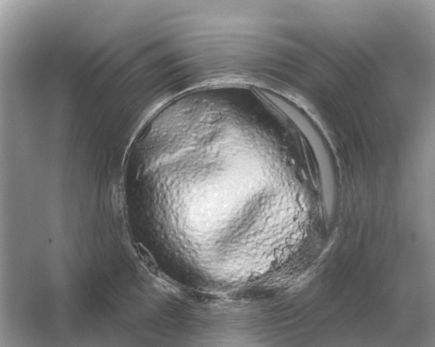 X0000066121097200603241603