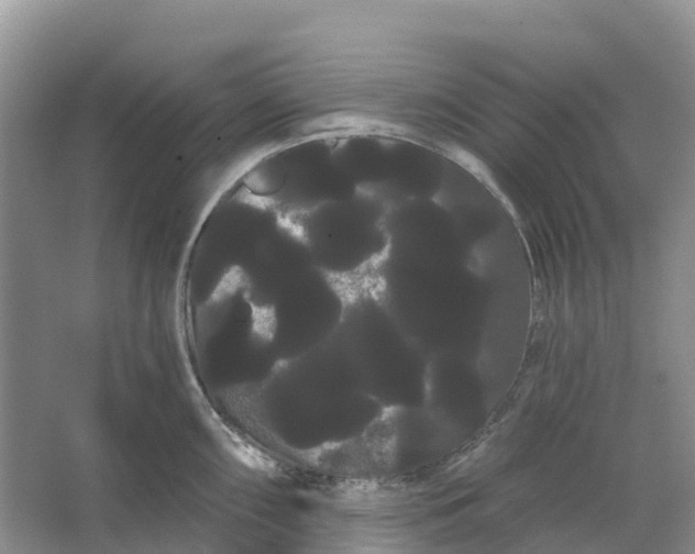 X0000066121098200603241603