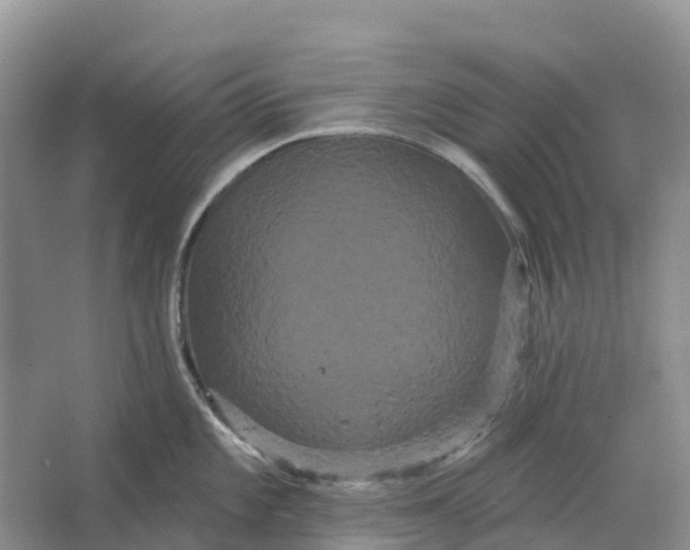 X0000066121101200603241603