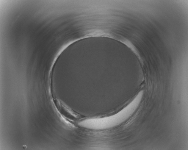 X0000066121102200603241603