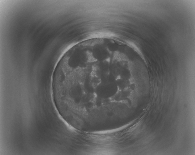 X0000066121103200603241603